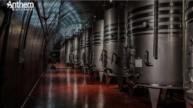 Anthem Biosciences shares list at 27% premium over IPO price on NSE; should you buy, sell or hold?