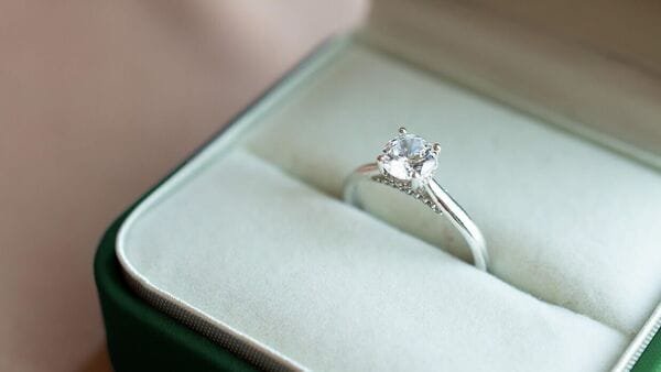 PNGS Reva Diamond IPO Allotment LIVE: GMP, steps to check share allotment status online on BSE, NSE, Bigshare Services