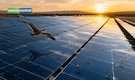 SEBI clears Cosmic PV Power's draft papers for Rs 640-crore IPO